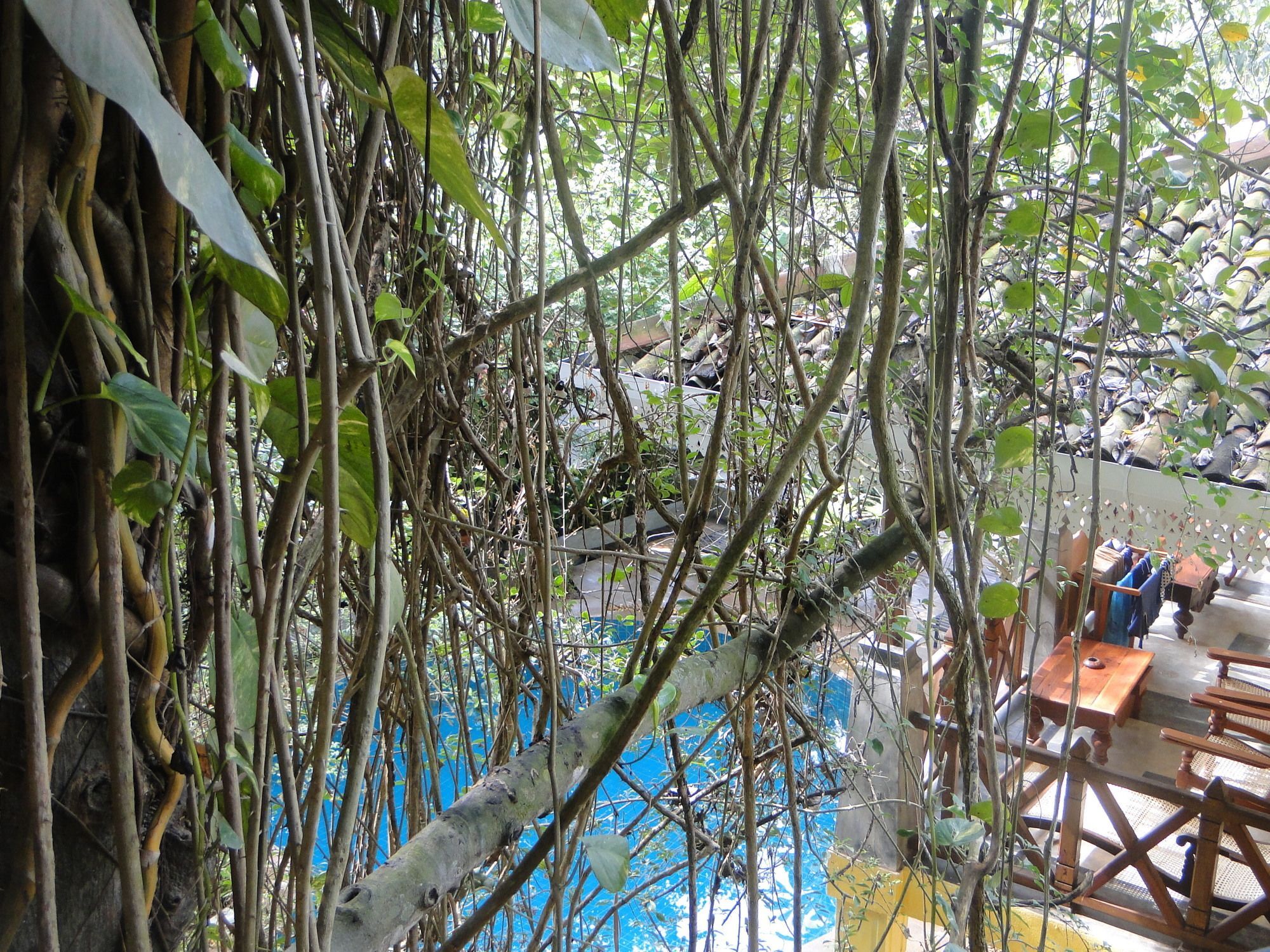 Thambapanni Retreat Hotel Unawatuna Ngoại thất bức ảnh